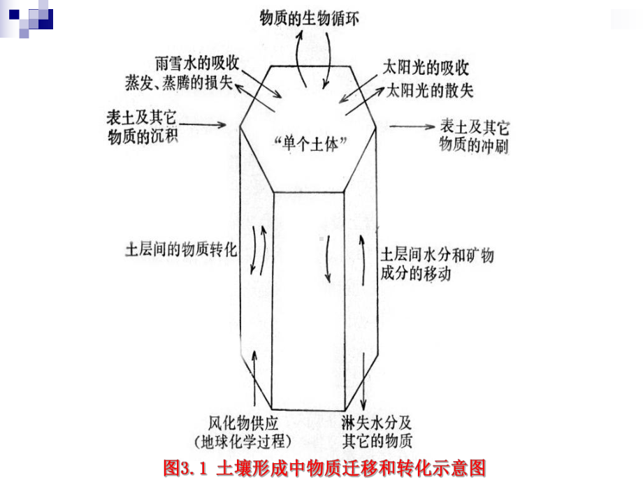 3第三节土壤形成过程课件.ppt_第2页