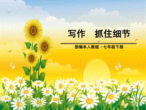 《抓住细节》PPT(同名92)课件.pptx