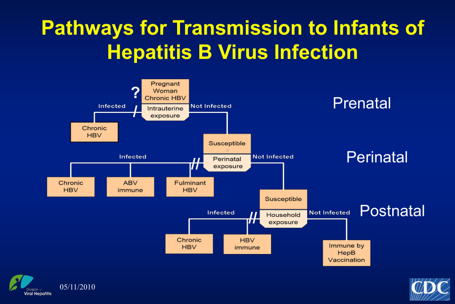 erinatal-Hepatitis-B-Prevention-ProgramTX-Department-of：围产期乙型肝炎预防programtx部课件.ppt_第2页