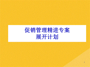 2022年康师傅促销管理精进专案展开计划(共31张PPT)课件.pptx