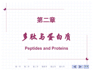 8年制生物化学与分子生物学第02章多肽与蛋白质课件.ppt