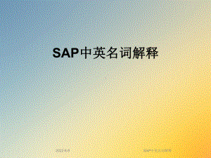 SAP中英名词解释课件.ppt