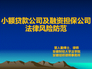 XXXX小额贷款公司及融资担保公司法律风险防范课件.ppt