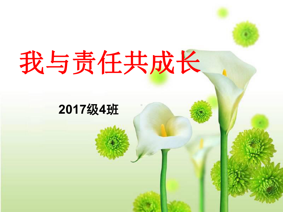 《我与责任共成长》主题班会(19张)课件.ppt_第1页