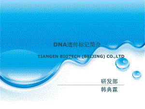 DNA遗传标记简介课件.ppt