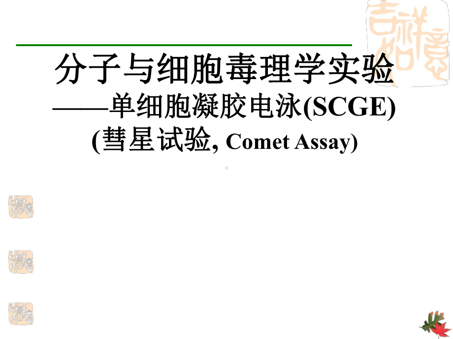 -操作讲义-实验八.彗星试验单细胞凝胶电泳(SCGE)课件.pptx_第1页