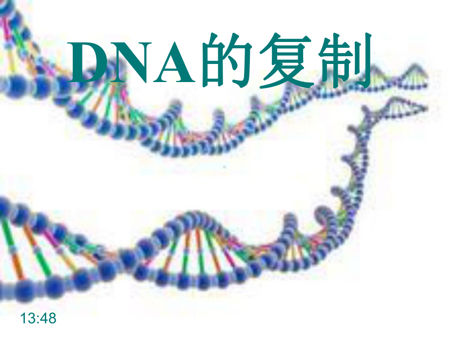 DNA的复制(含动画)课件.ppt_第1页