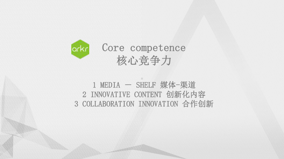 Coolpad品牌策略招标项目方案Arkr-108P.ppt_第2页