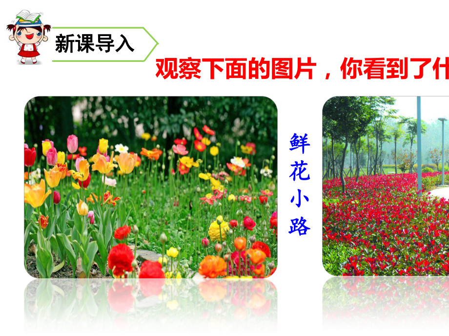 《开满鲜花的小路》PPT优秀课件1.ppt_第1页