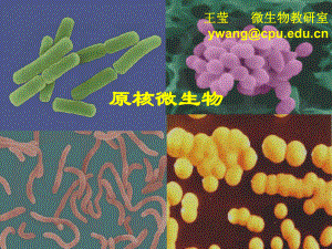 《微生物学与免疫学》2原核微生物课件.ppt