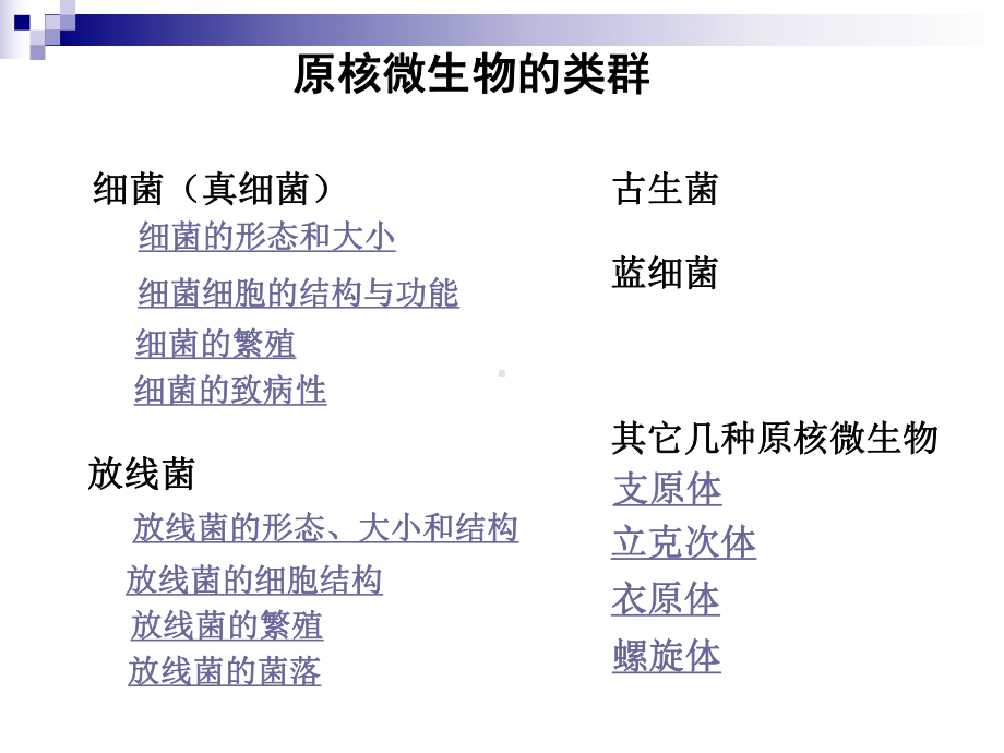 《微生物学与免疫学》2原核微生物课件.ppt_第3页