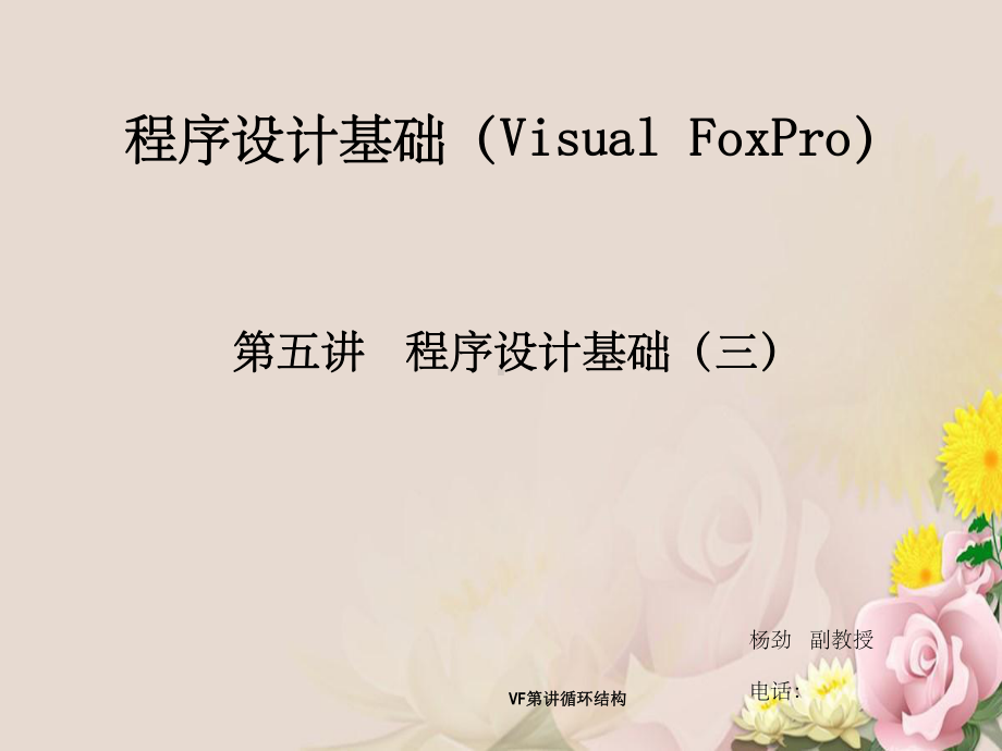 VF第讲循环结构课件.ppt_第1页