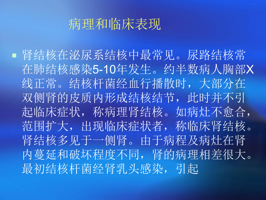 -肾结核-课件.ppt_第2页