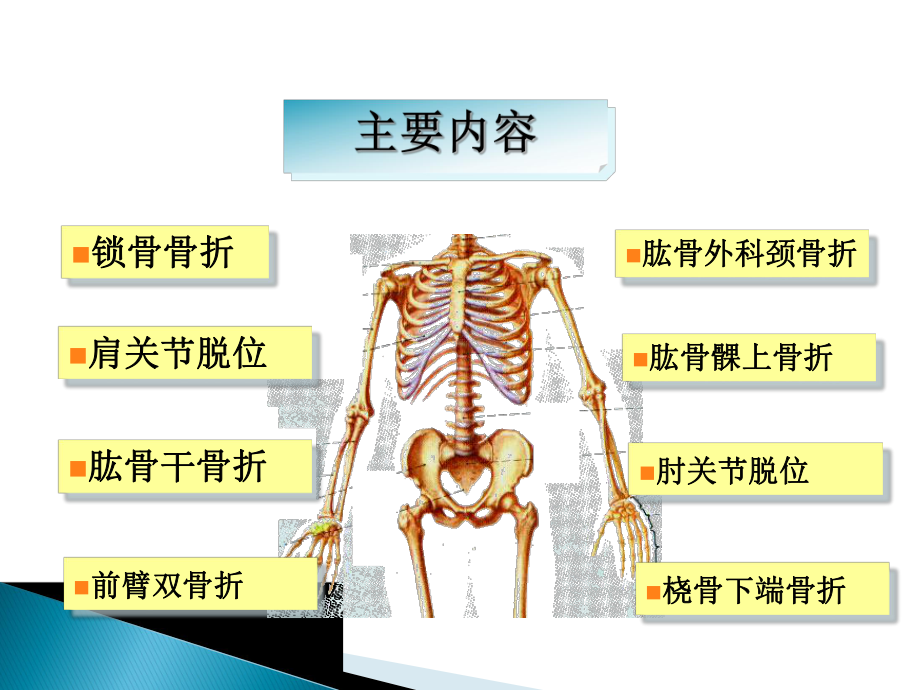 上肢骨折-上肢骨、关节损伤-外科学课件.ppt_第2页