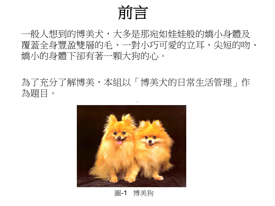 专题制作小论文‘博美犬的日常饲养管理’课件.ppt_第3页