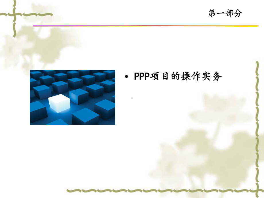 PPP与PPP融资方式之实务讨论课件1.ppt_第2页