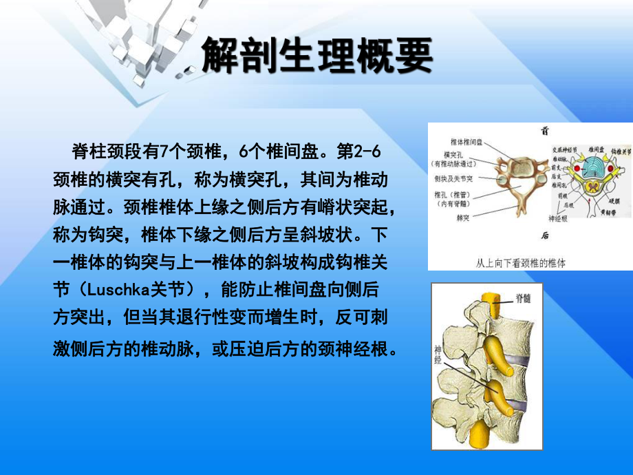 -三小定点整脊恢复-PPT课件.ppt_第3页