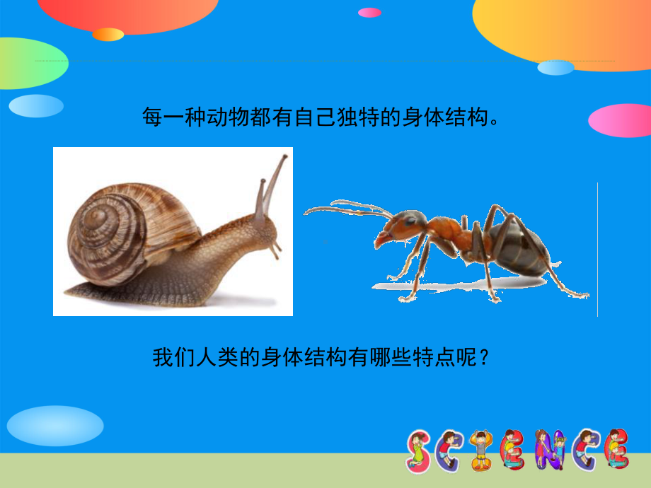 《身体的结构》我们的身体PPT课件.pptx_第2页