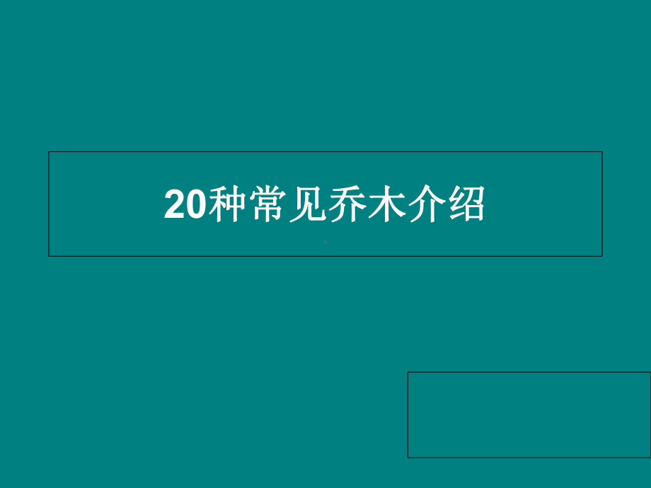 20种常见乔木介绍课件.ppt_第1页