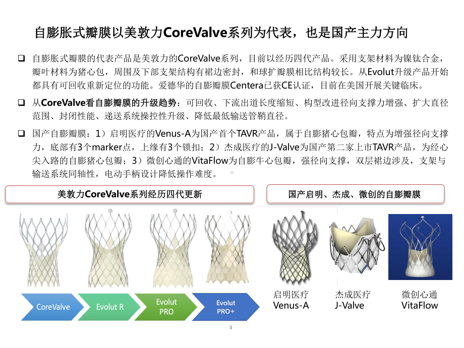 TAVR市场参与者主要产品及在研情况(2021年)课件.pptx_第3页