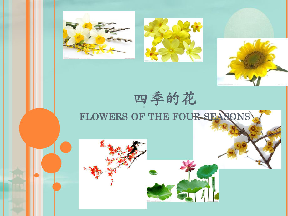 不同季节的花(共27张PPT)课件.ppt_第1页