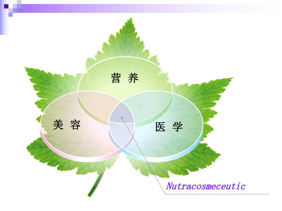 Jamieson-Nutracosmeceutical-健美生营养美容医学课件.ppt_第3页