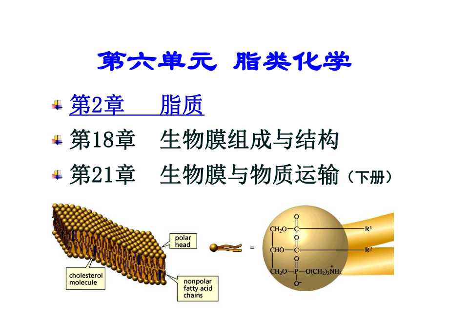 《生物化学》-脂质课件.ppt_第1页