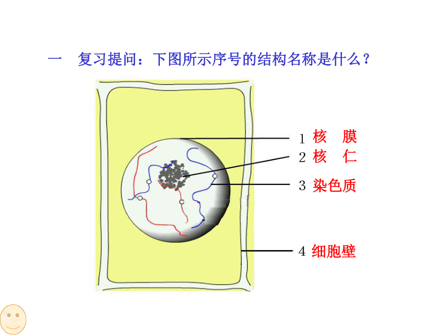 (完整版)细胞的增殖公开课课件.ppt_第2页