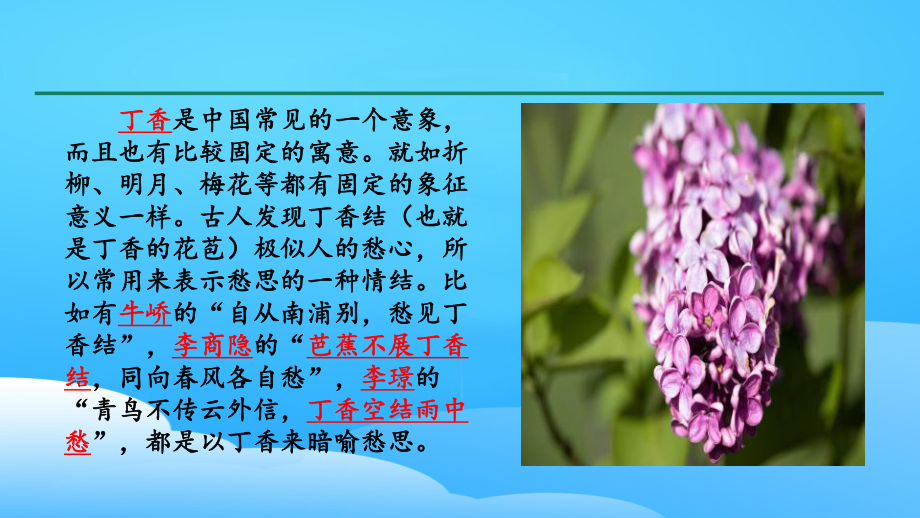 《丁香结》PPT教学课件（优秀课件）.pptx_第3页