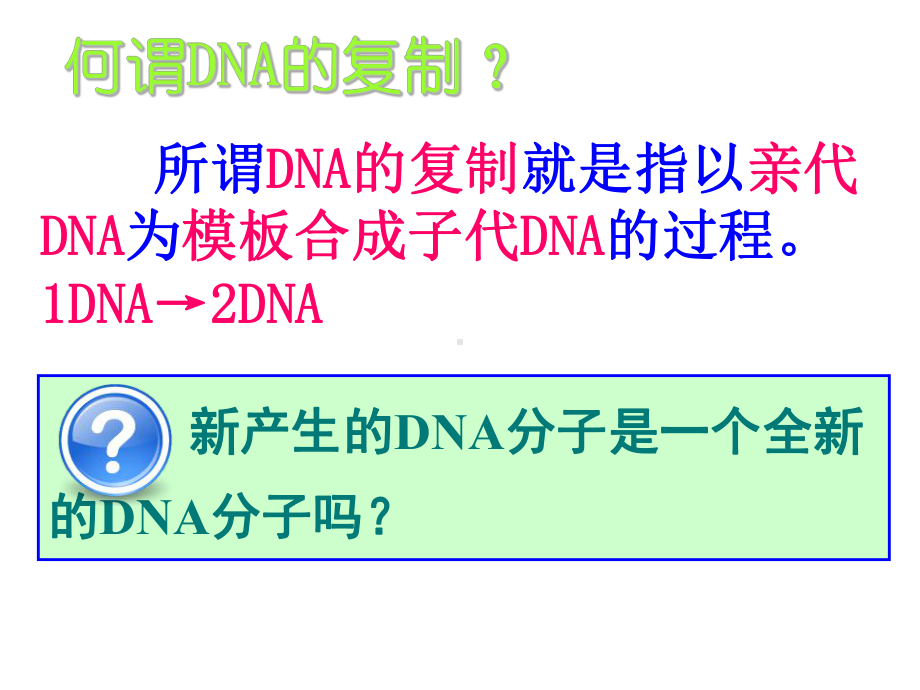 DNA的复制全面版课件.ppt_第2页