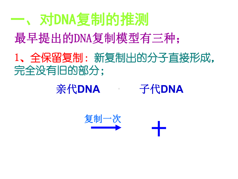 DNA的复制全面版课件.ppt_第3页