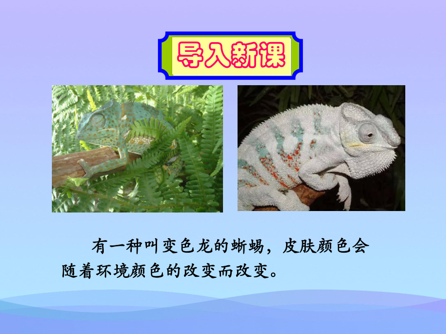 《变色龙》ppt课件(6)优秀课件.ppt_第3页