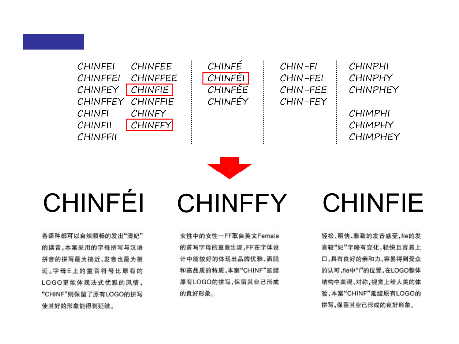 -清妃VI品牌整合设计提案ppt课件-PPT.ppt_第3页