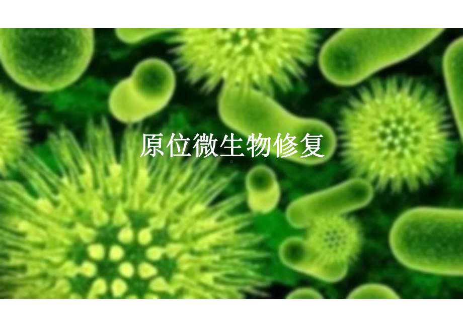 《污染环境的物理修复》微生物修复-原位与异位课件.pptx_第2页