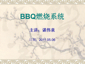 BBQ的燃烧系统解析课件.ppt