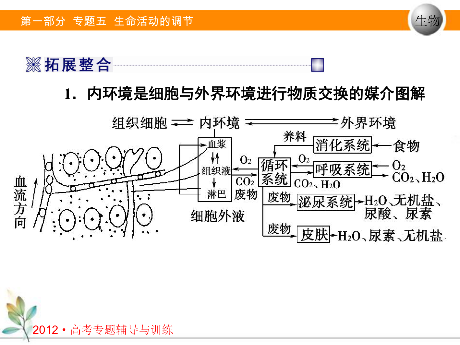 专题五第二讲生命活动调节-人体稳态和免疫课件.ppt_第3页