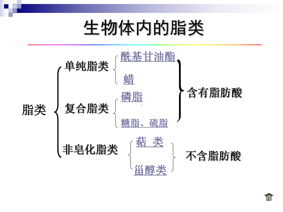 (完整PPT)生物化学课件28-29-脂类代谢.ppt_第3页