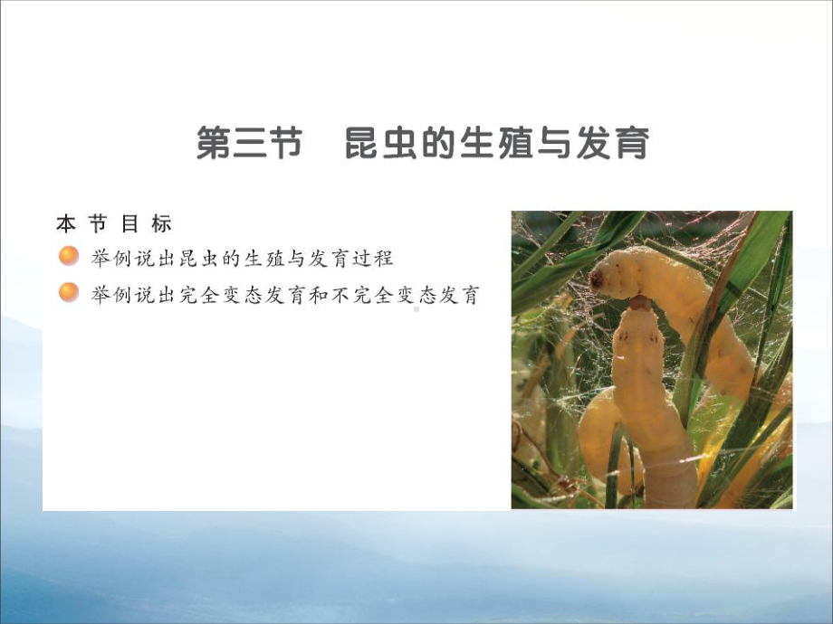 《昆虫的生殖与发育》PPT(同名282)课件.pptx_第1页