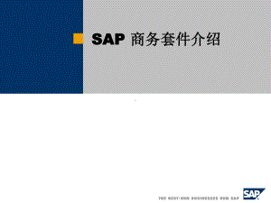 SAP软件产品介绍课件.ppt