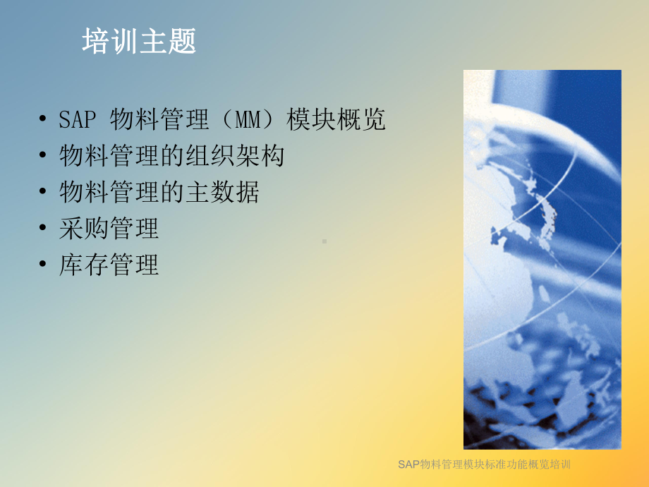 SAP物料管理模块标准功能概览培训课件.ppt_第2页