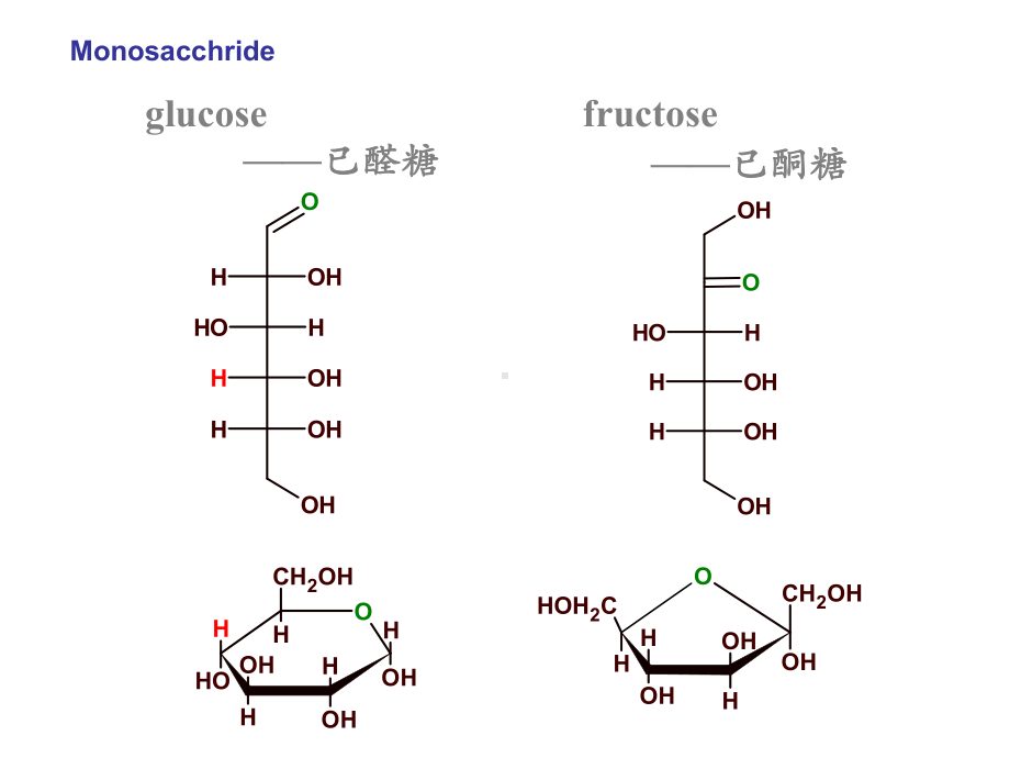 -碳水化合物56课件.ppt_第3页