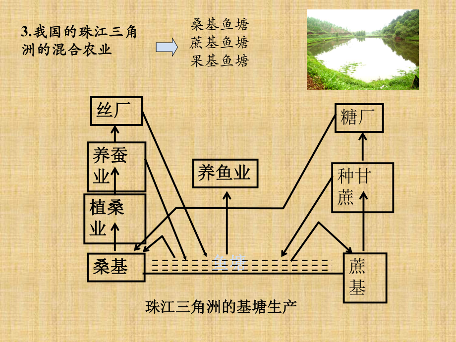 一轮复习农业地域类型精编版课件.pptx_第3页