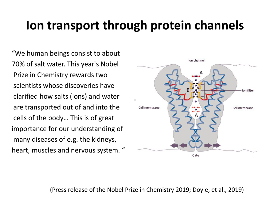 -Poisson-Nernst-Planck-Theory-Approach-to-the-calculation-of-ion-泊松能斯特-普朗克理论对离子课件.ppt_第2页