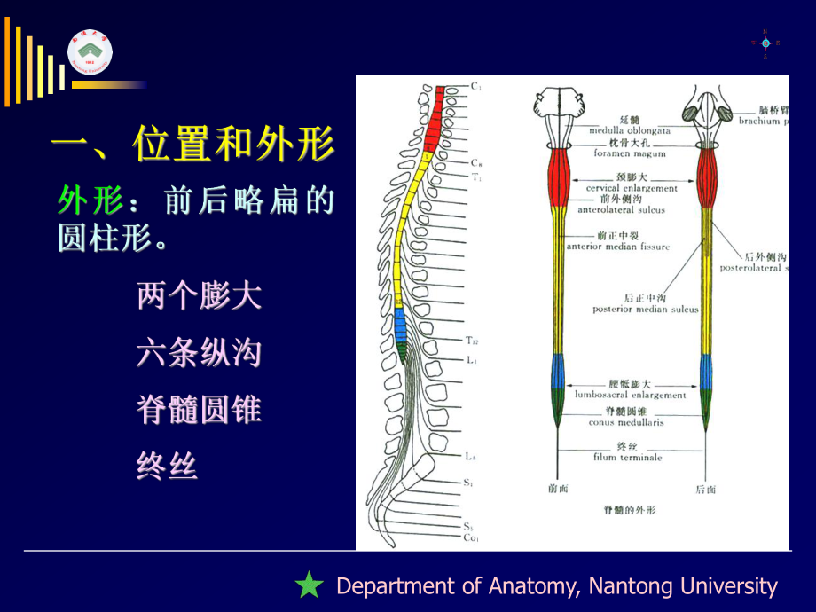 上行纤维束二白质内部结构课件.ppt_第3页