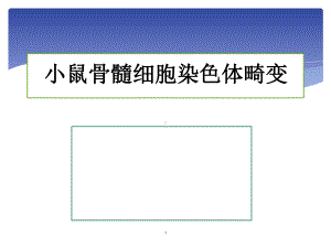 -HCY-染色体畸变-小鼠骨髓细胞染色体畸变讲义课件.pptx