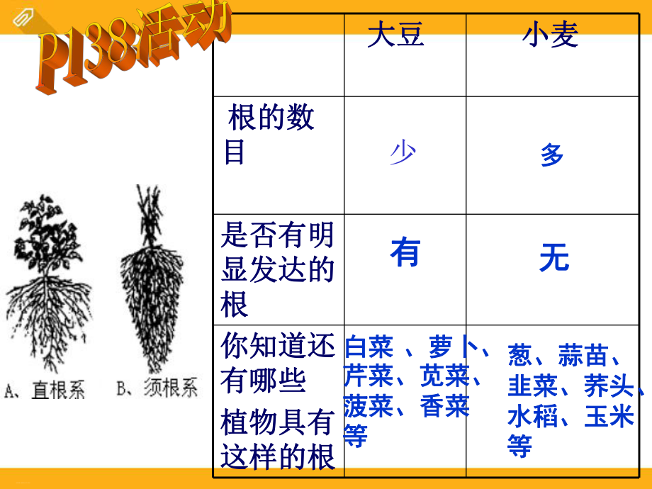 《植物的根与物质吸收》PPT-完美版课件.pptx_第3页