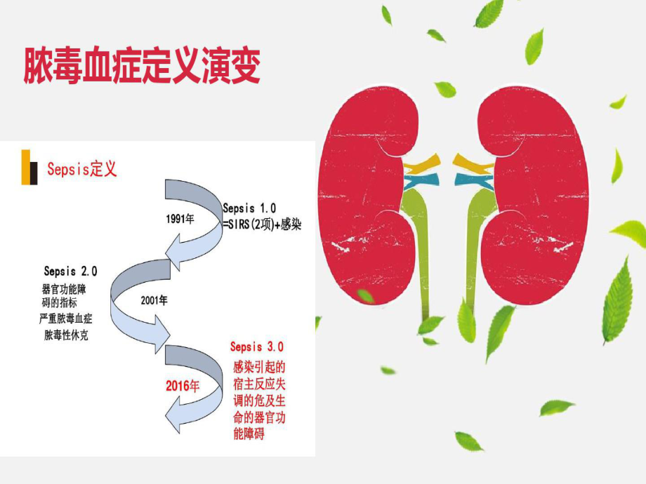 2020年脓毒血症的指南解读课件.pptx_第3页