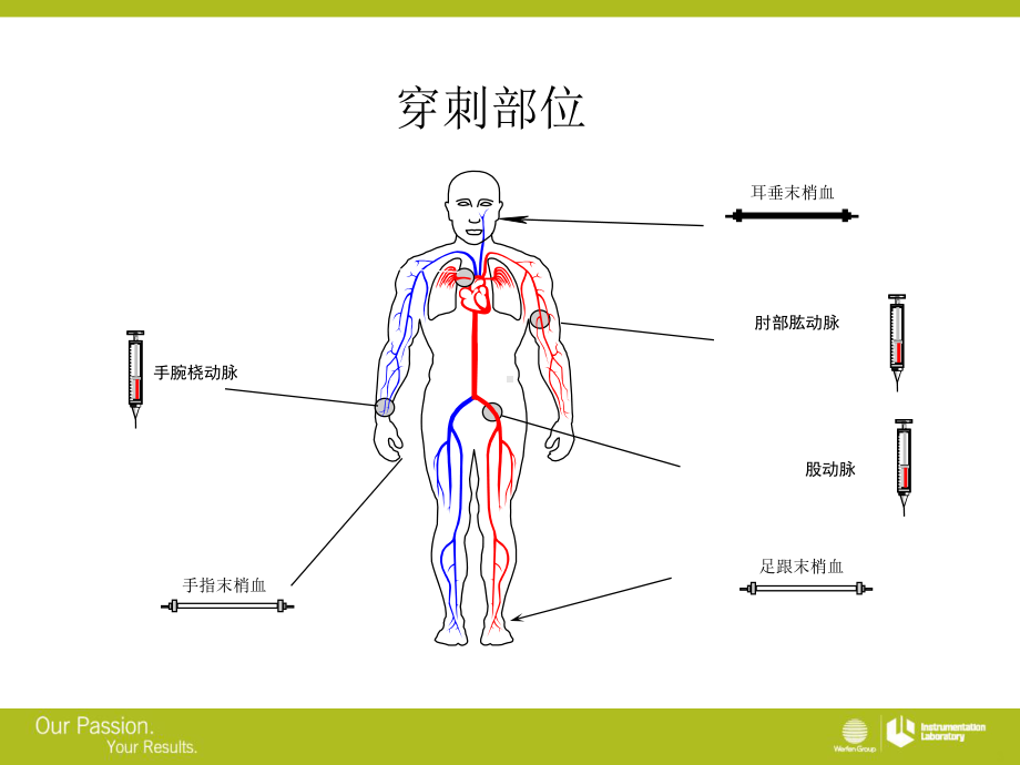 GEM3500技术培训(临床采集标本注意事项)课件.pptx_第3页