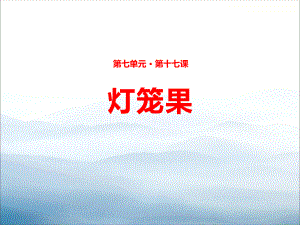 《灯笼果》PPT课件.pptx