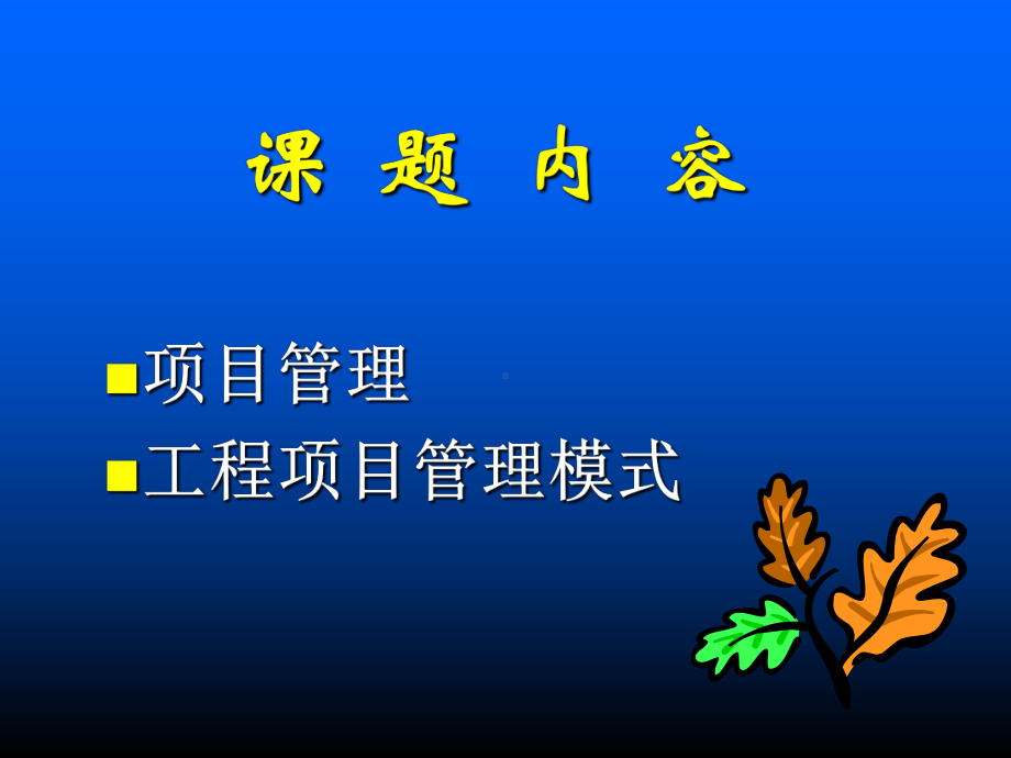 -工程项目管理课件.ppt_第2页